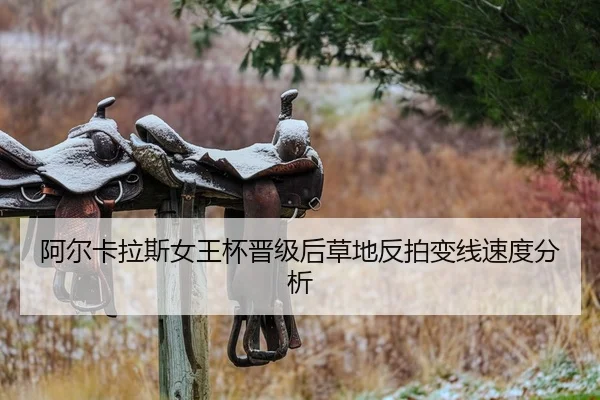 a-er-ka-la-si-nv-wang-bei-jin-ji-hou-cao-di-fan-pai-bian-xian-su-du-fen-xi-2-639.jpg