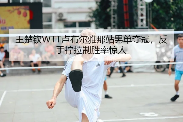 王楚钦WTT卢布尔雅那站男单夺冠，反手拧拉制胜率惊人