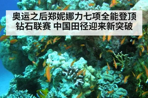 奥运之后郑妮娜力七项全能登顶钻石联赛 中国田径迎来新突破