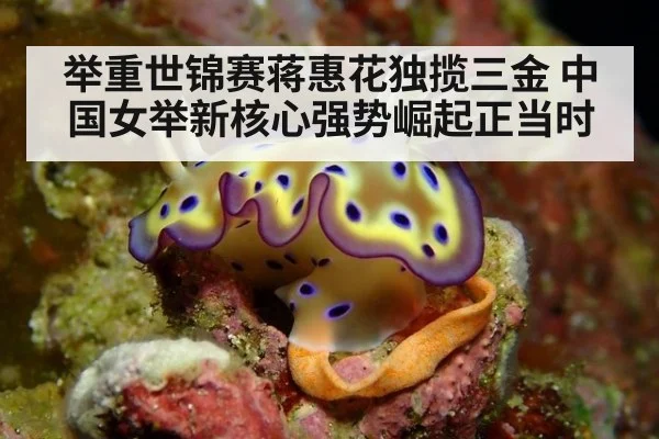 举重世锦赛蒋惠花独揽三金 中国女举新核心强势崛起正当时